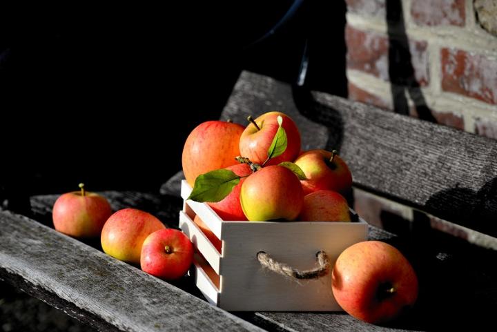 Äpfel auf einer Bank